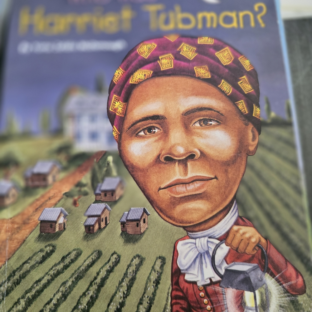 Children's Book Collection - Picture 6 of 6